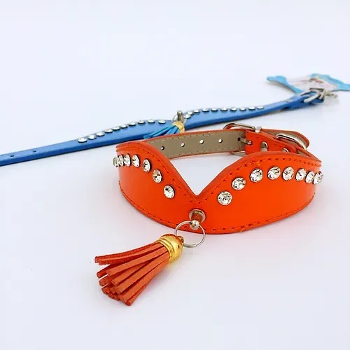 Collar de mascota