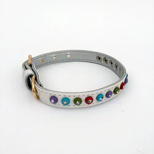 Collar mascota