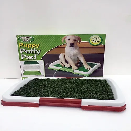 Baño mascota