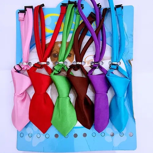 Pack collar de mascota