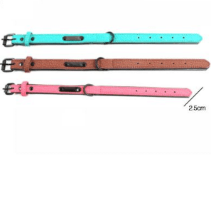 COLLAR PARA PERRO