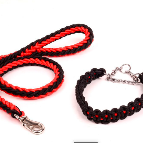 CONJUNTO DE CUERDA.