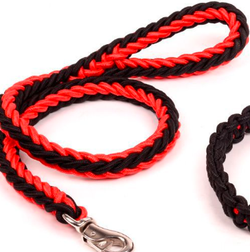CONJUNTO DE CUERDA.