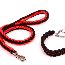 CONJUNTO DE CUERDA.