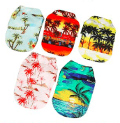 Camisa hawaiana