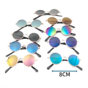 LENTES PARA MASCOTAS.