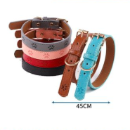 COLLAR HUELLA.