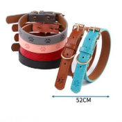 COLLAR HUELLA.