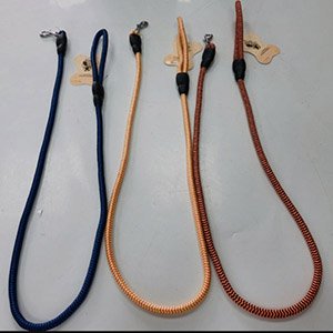 Correa para perro con diferentes colores 