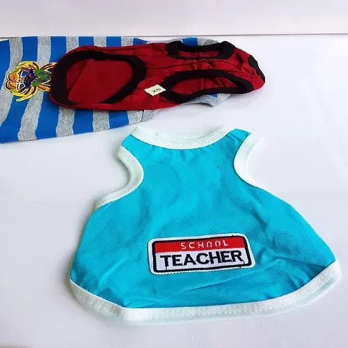Ropa mascota